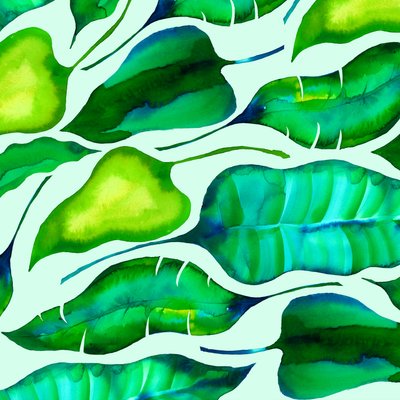Tropical Leaves by Unbekannt Unbekannt